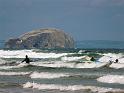 Bellhaven surf